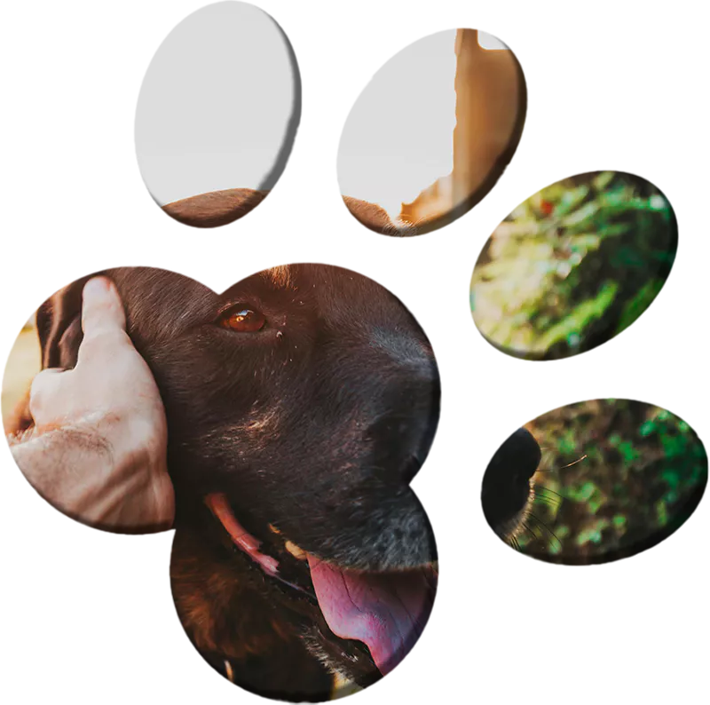 Personalized Training Programs