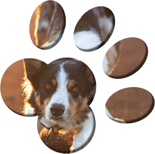 Personalized Training Programs