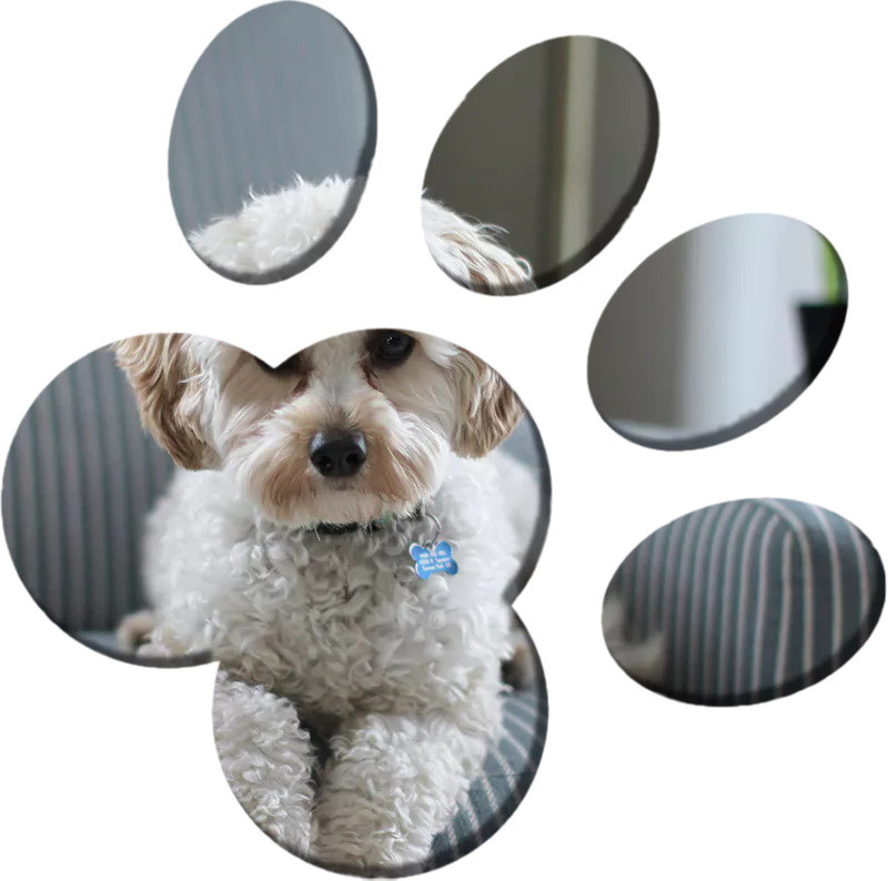 Personalized Training Programs