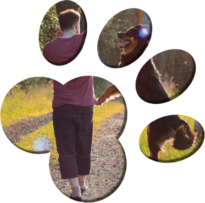 Personalized Training Programs