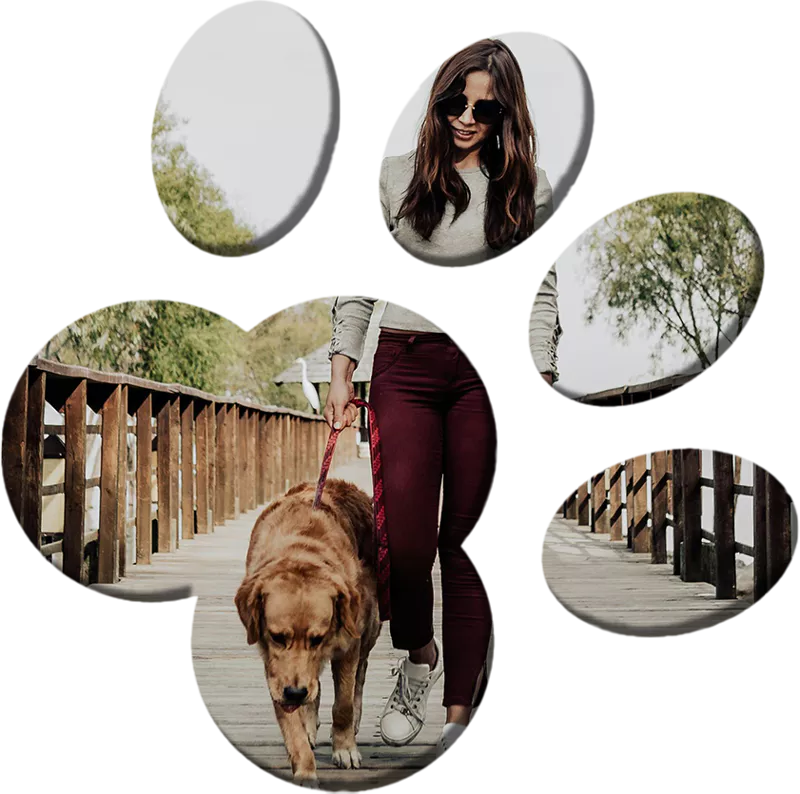 Personalized Training Programs